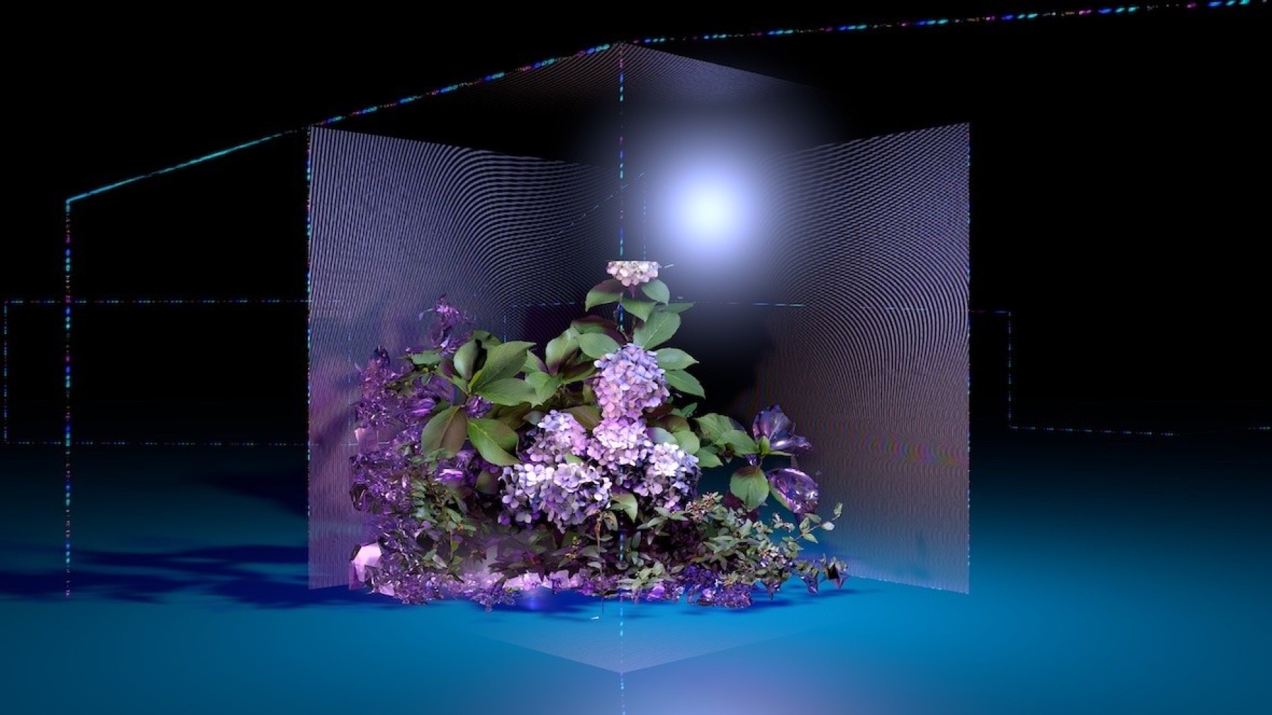 floraliaiia2021.jpg