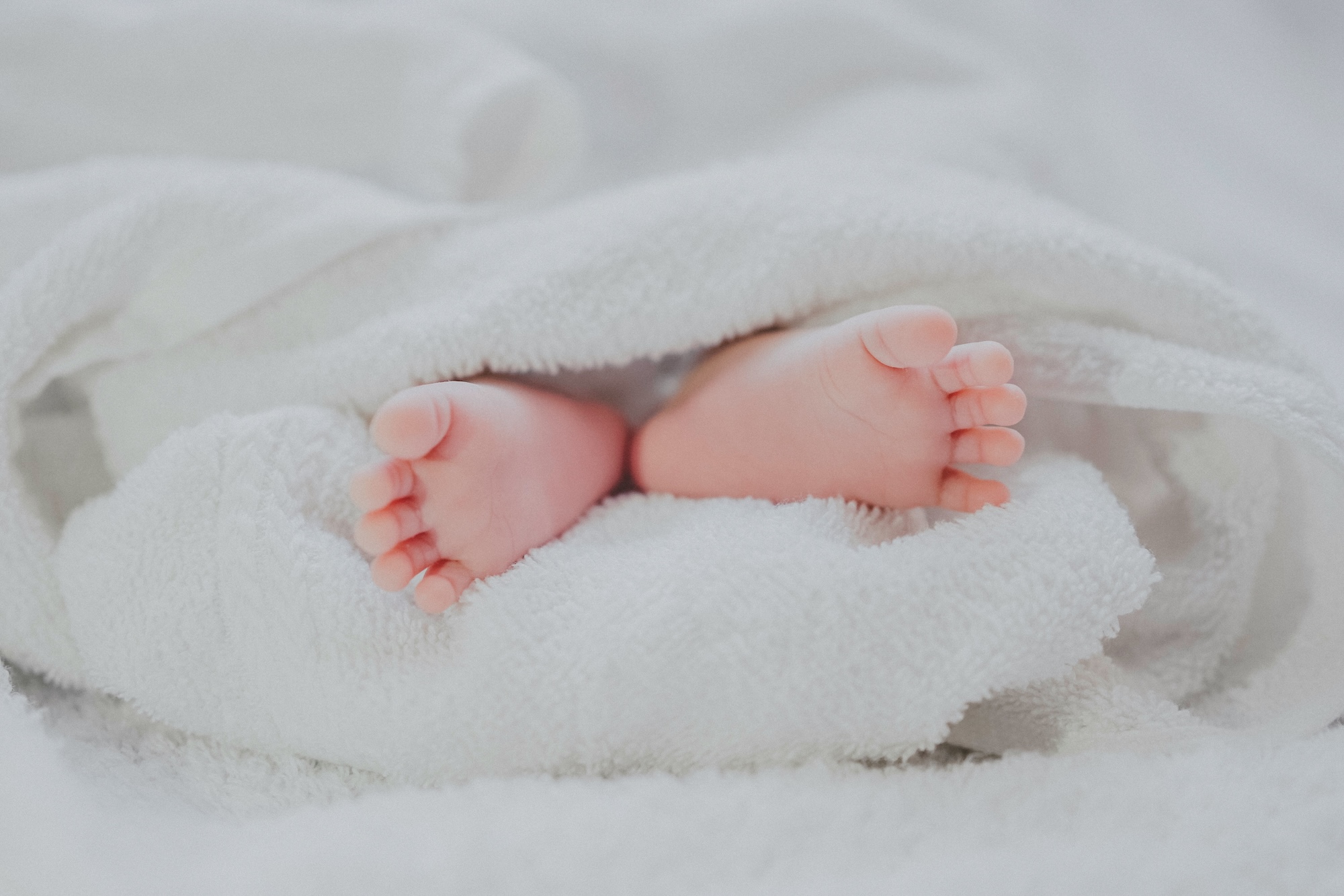 fe-ngo-piedini-unsplash