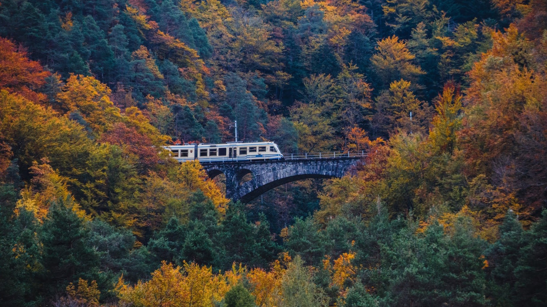 1ferroviavigezzinacentovalliautumn12ph.christianguerra