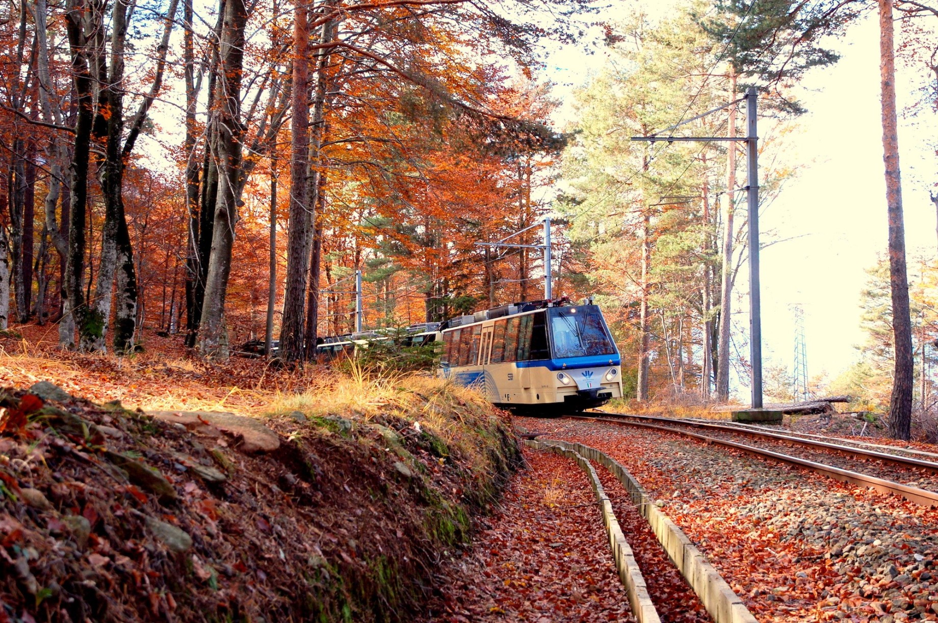 2ferroviavigezzinacentovalliautumn5.jpg