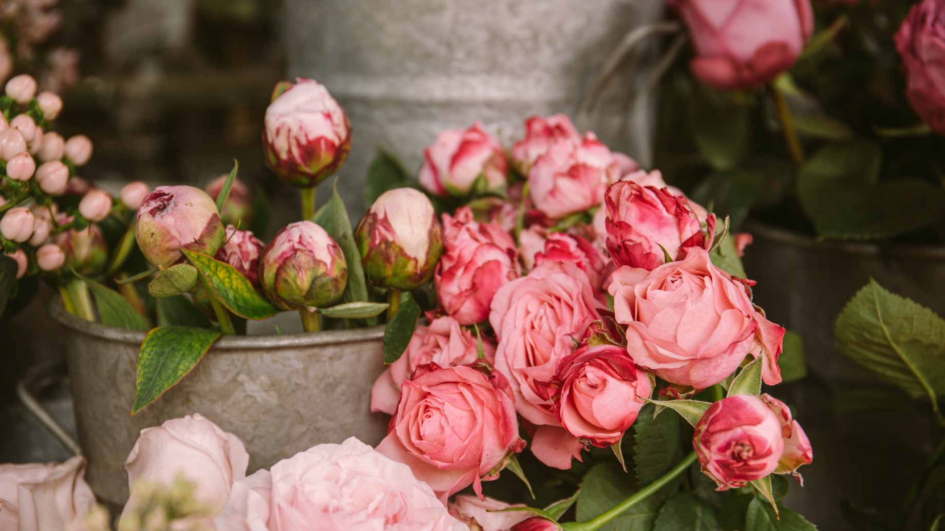 Rose bianche  Lami Fiori Brera Milano