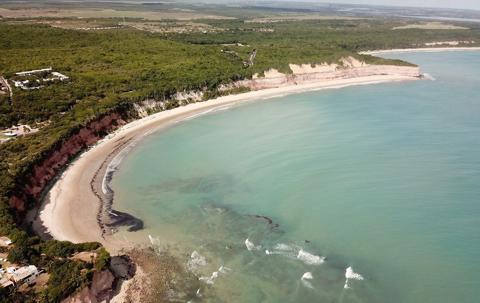 baia_dos_golfinhos__pipa.jpeg