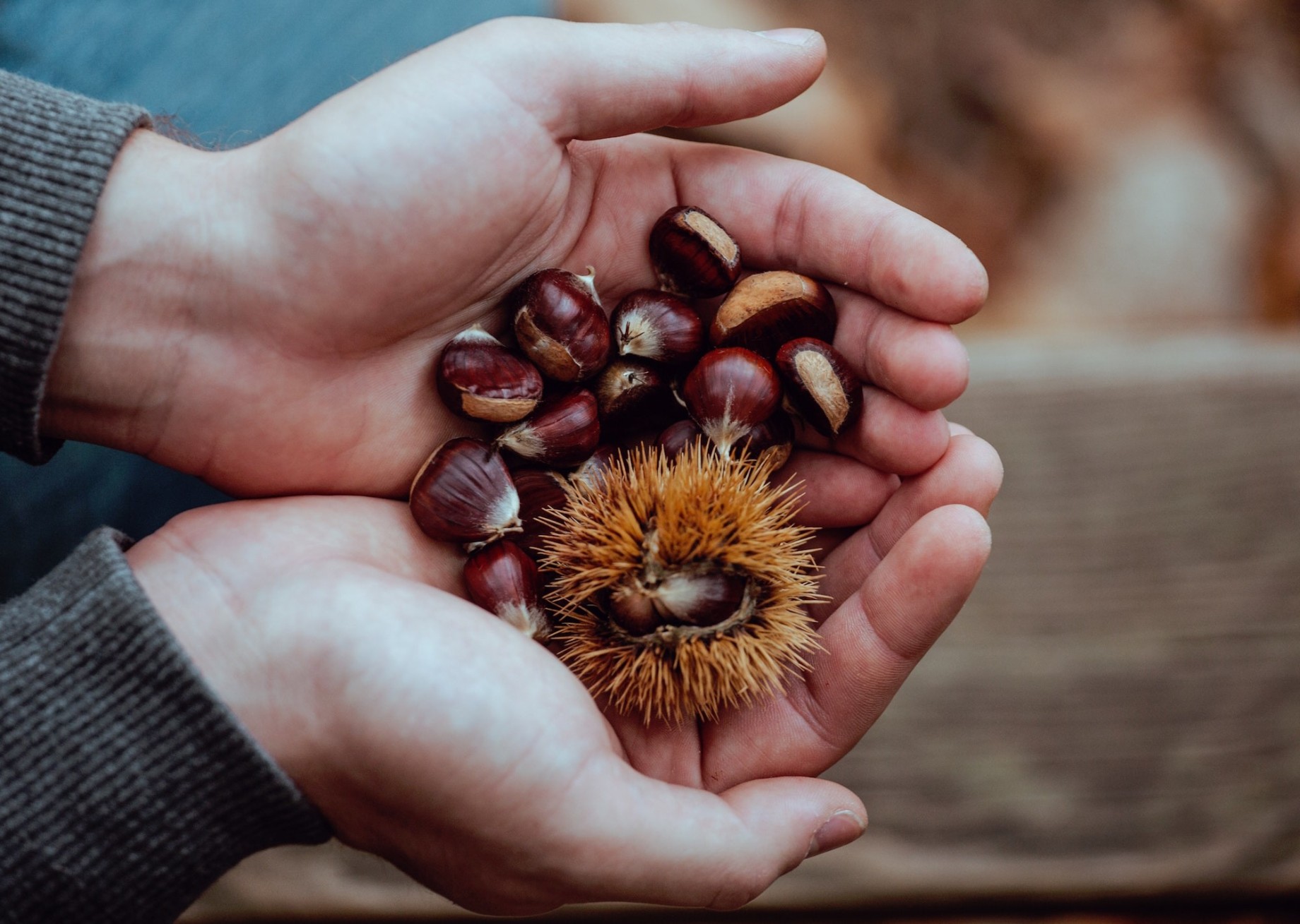 castagne_lombardia.jpg