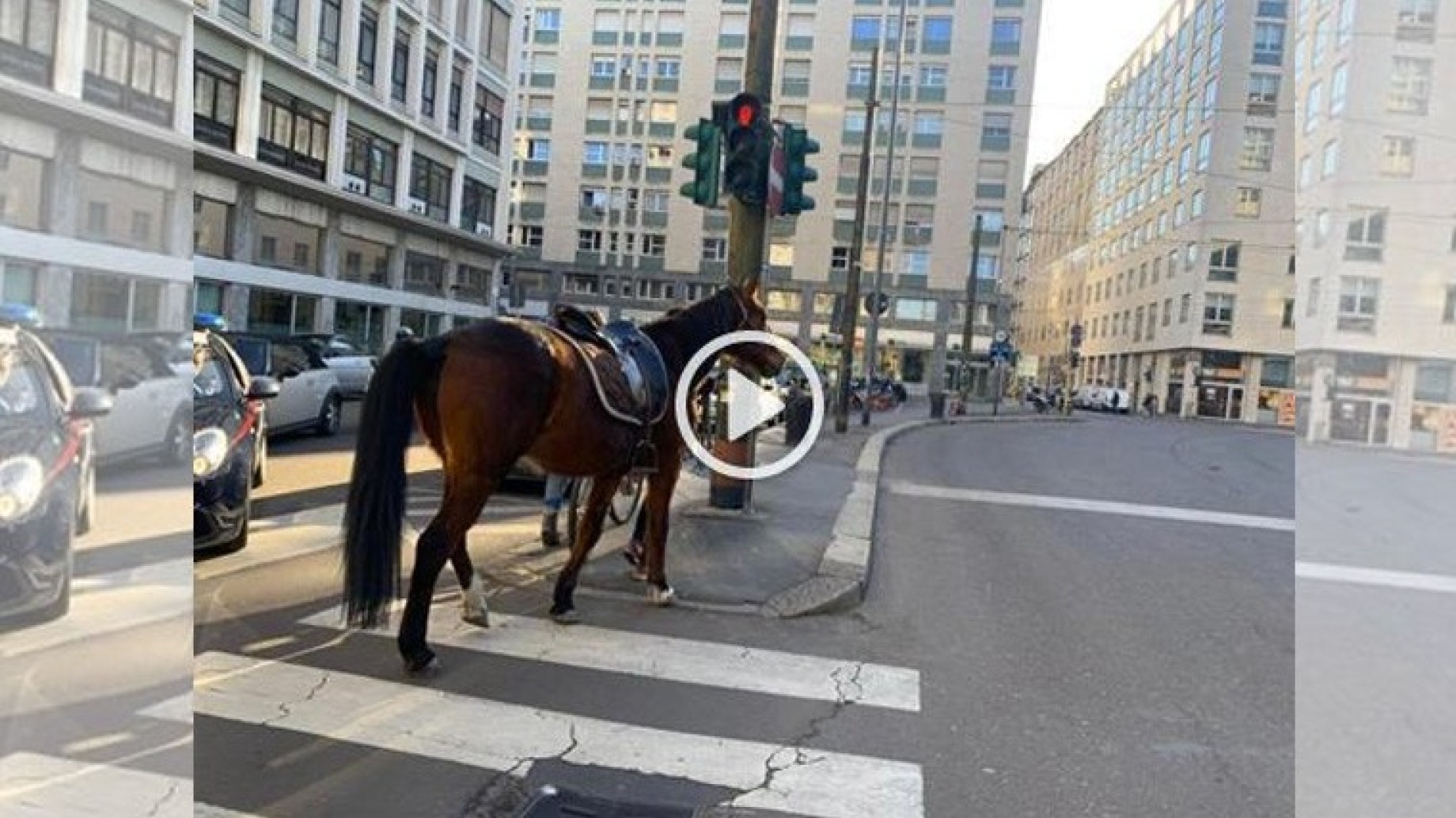 cavallo-milano