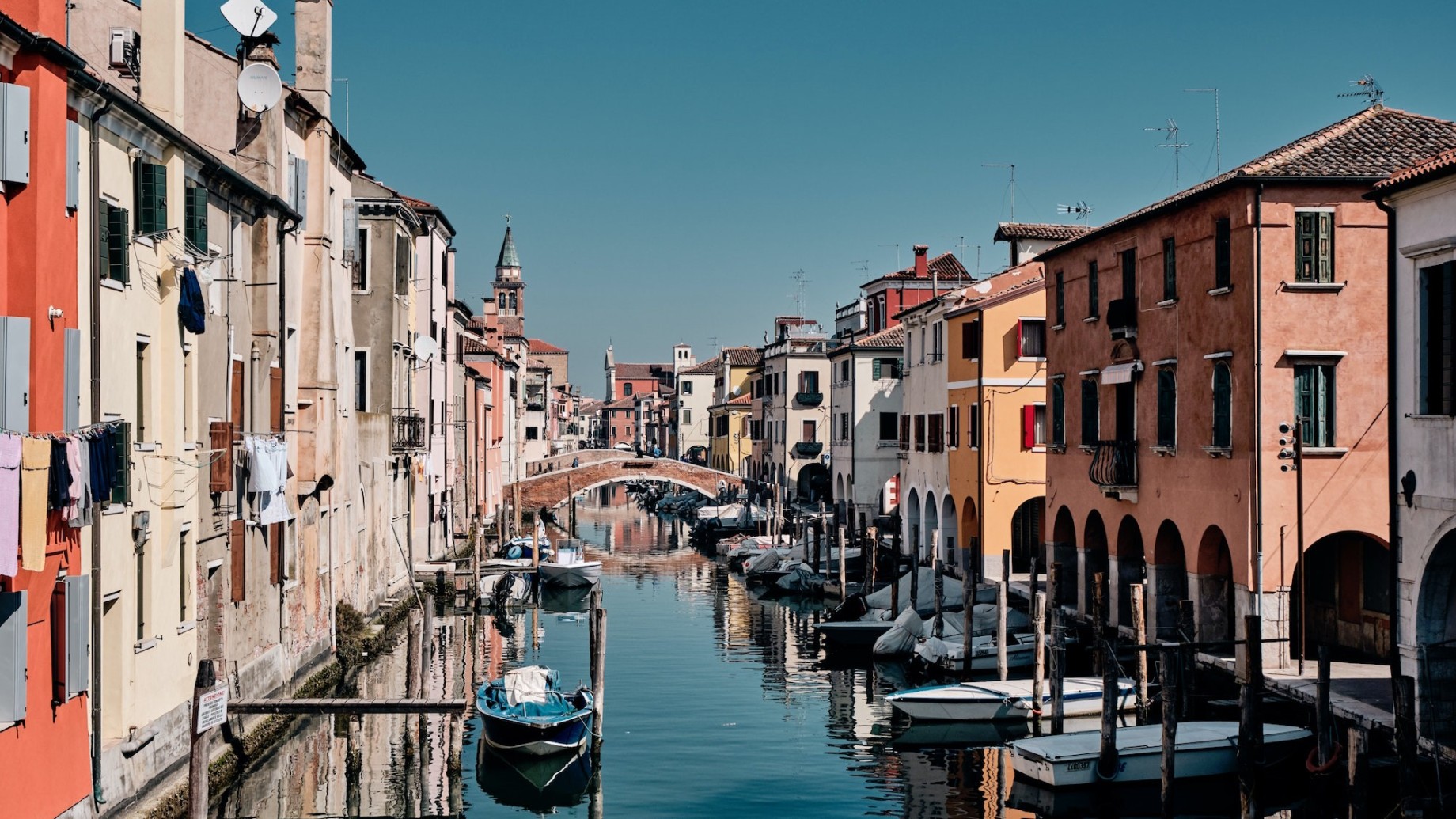 chioggia