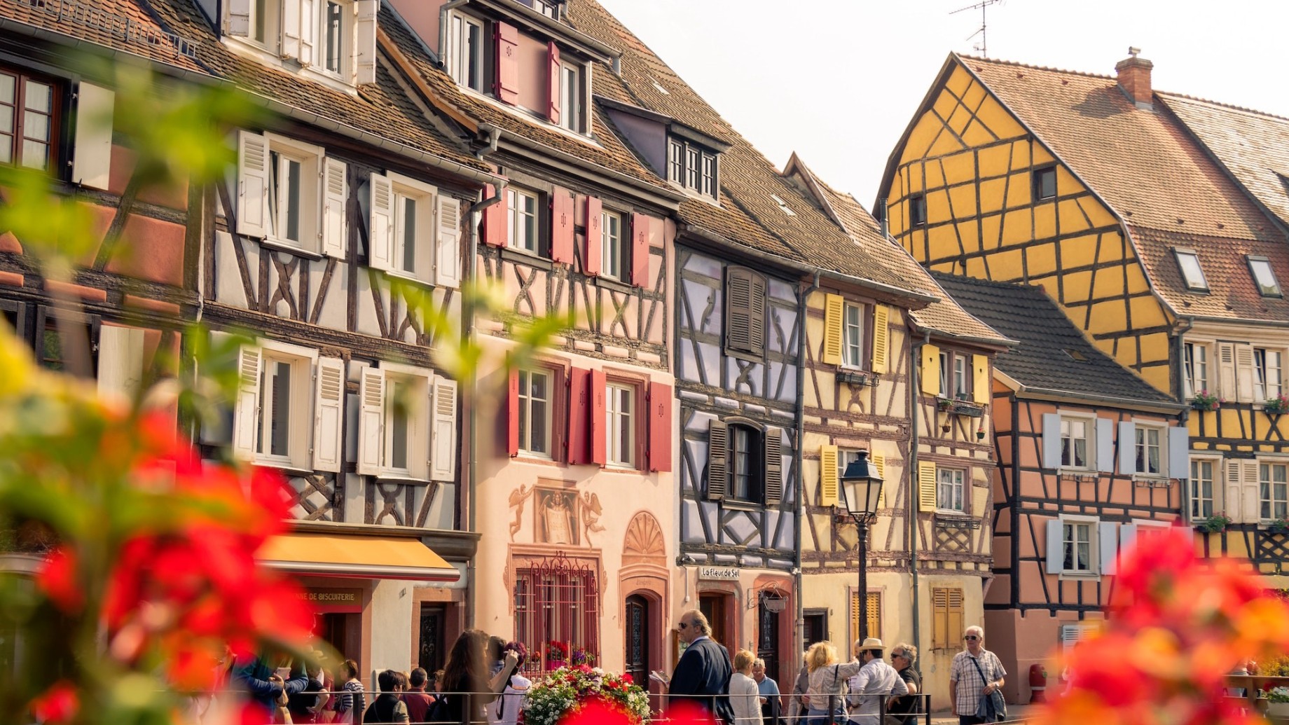 colmar