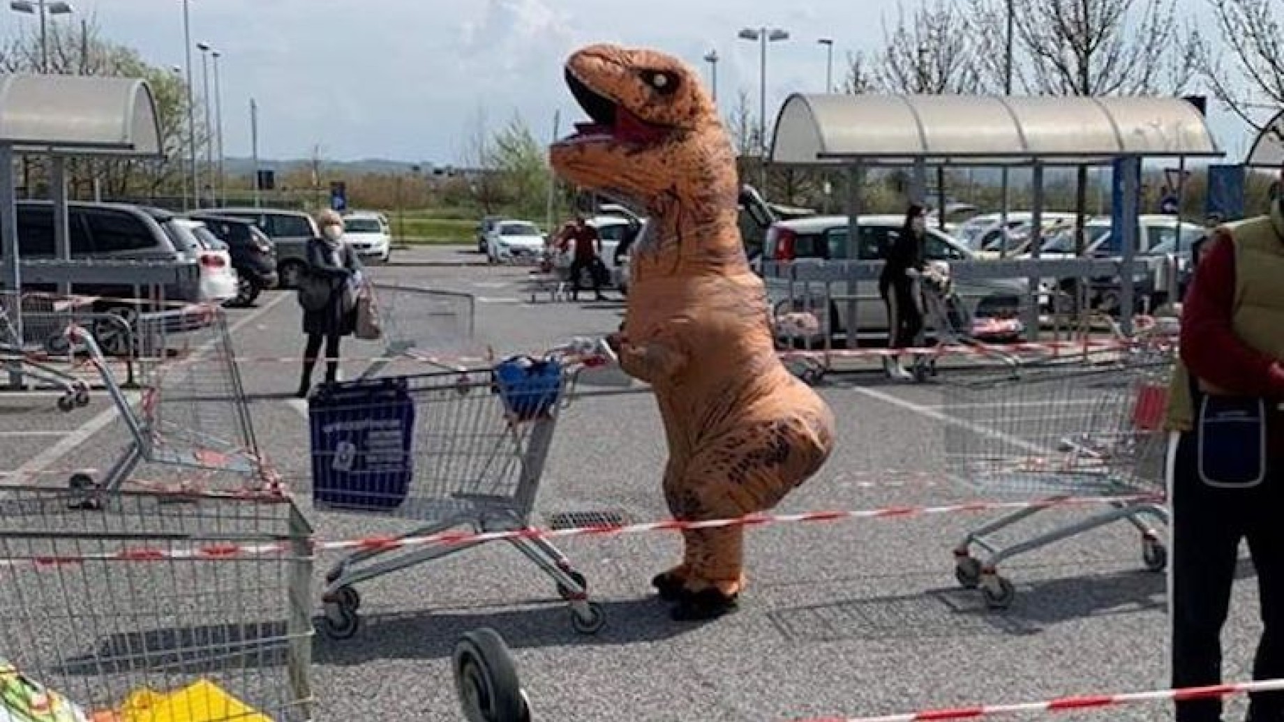 dinosauro_coop_ponticelli_