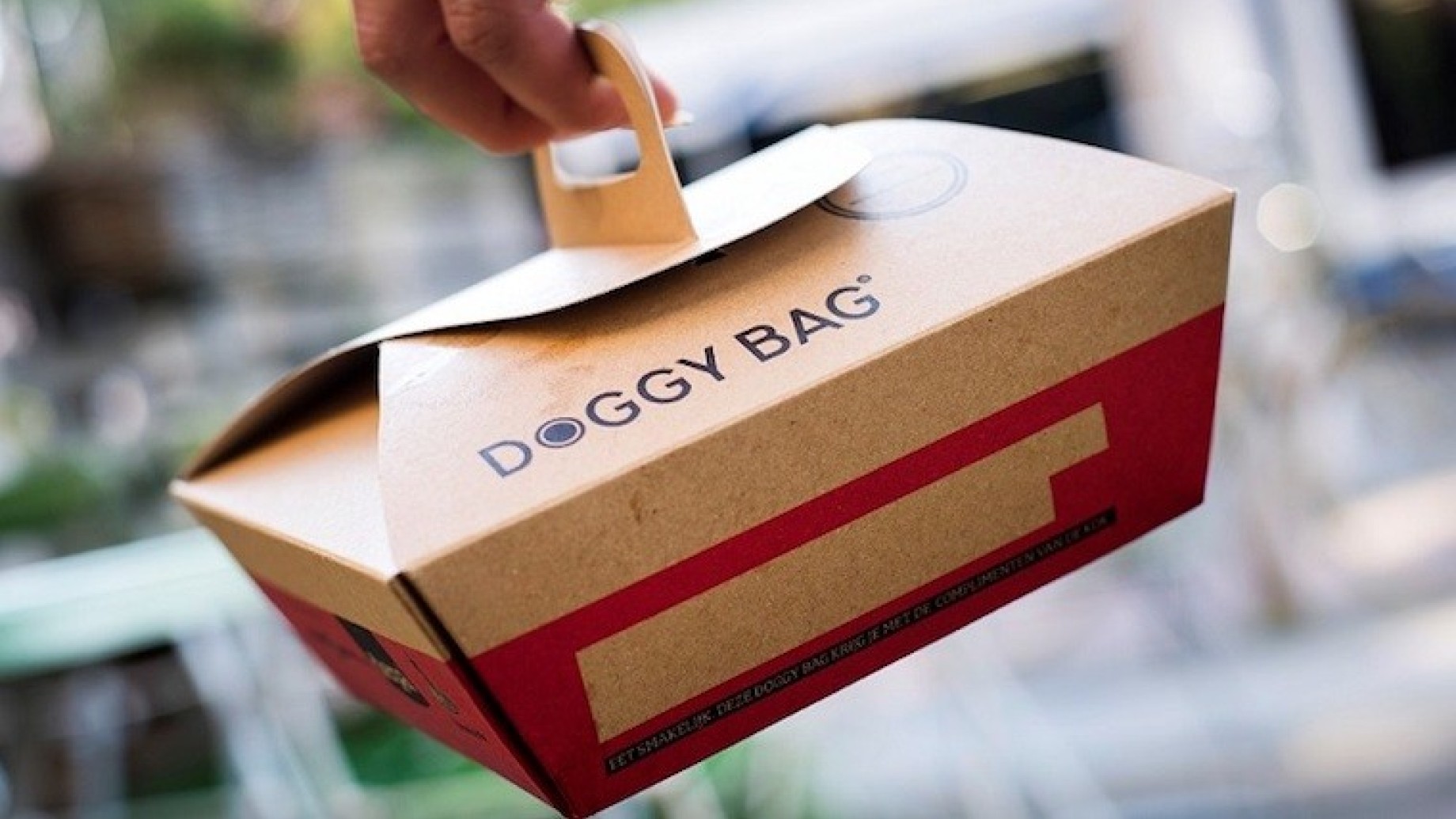 doggy-bag-ristorante-perche-e-importante-chiederla-2