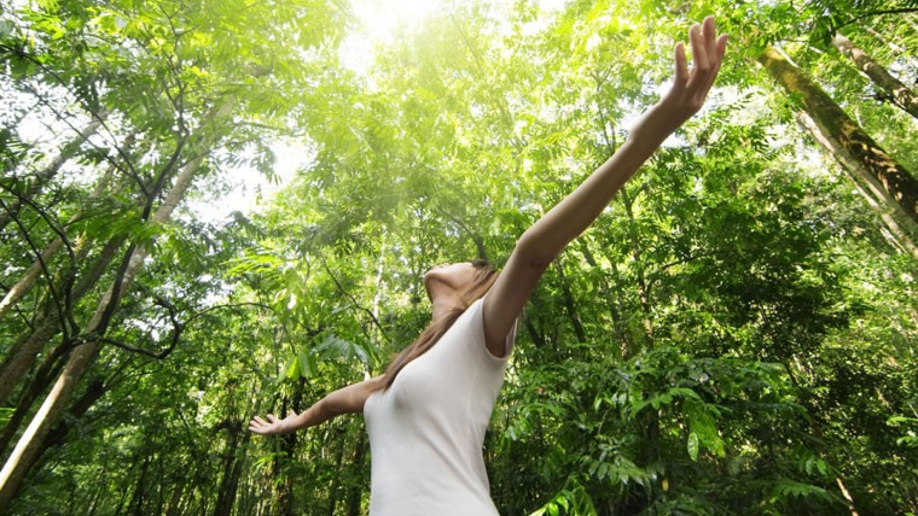 forest-bathing