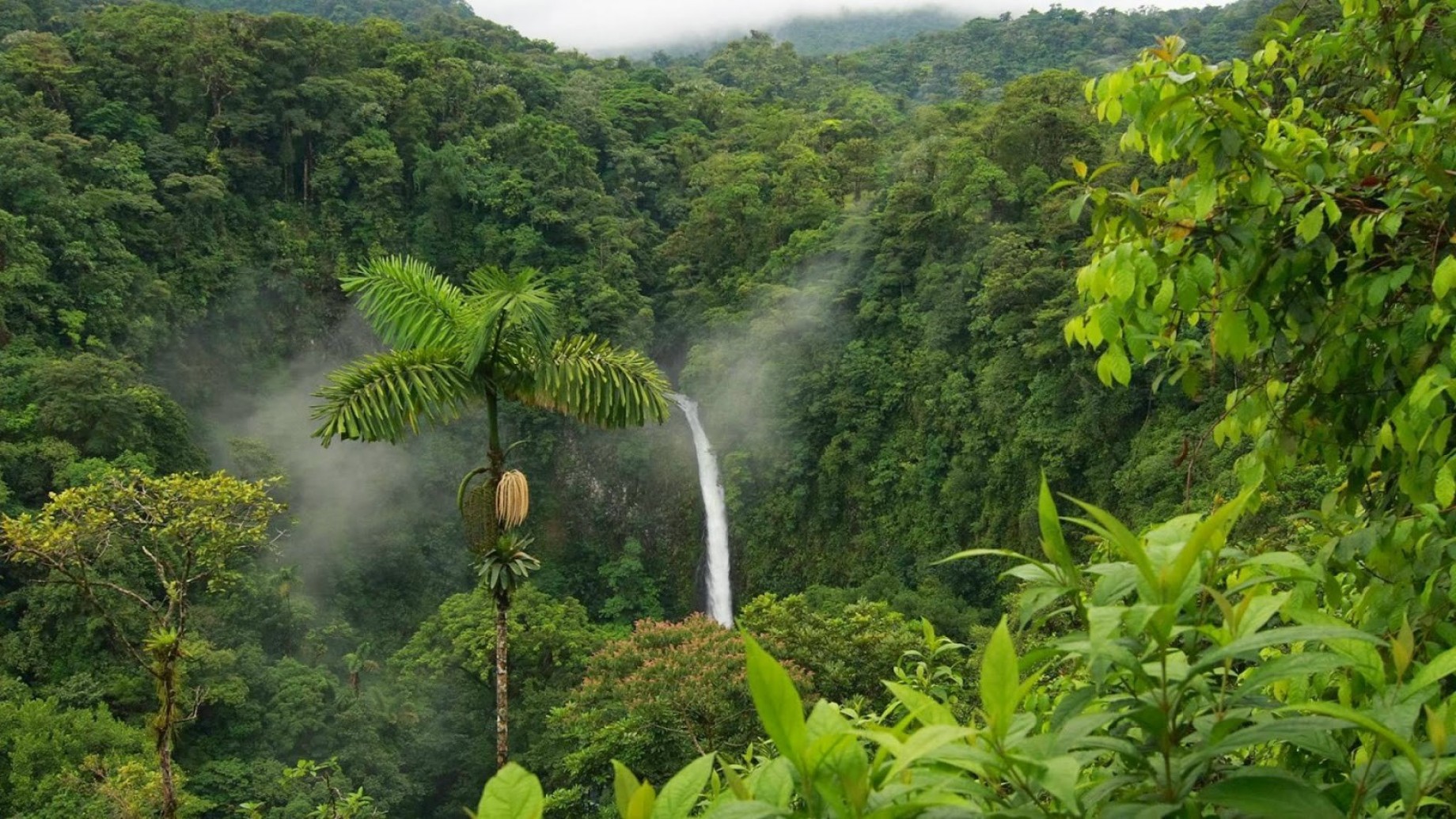 foresta-amazzonica-calipso-peru