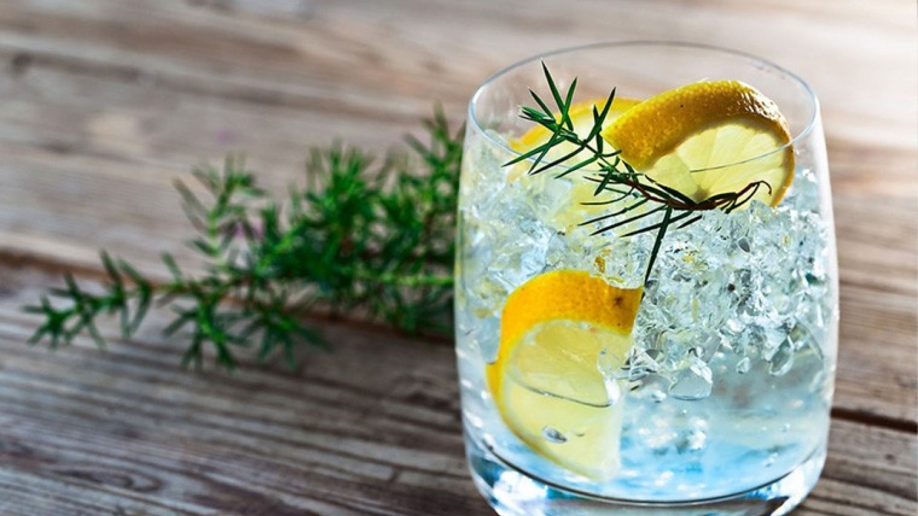 Il Gin Tonic nella dieta? Assolutamente sì, fa bruciare calorie - Il M