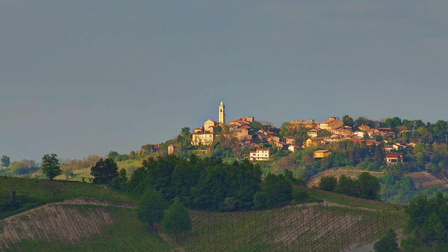 golferenzo__telefoto__panoramio