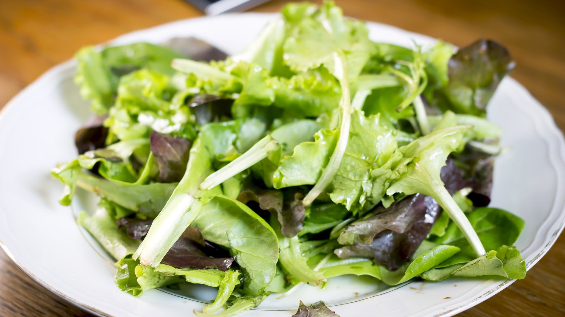 insalata