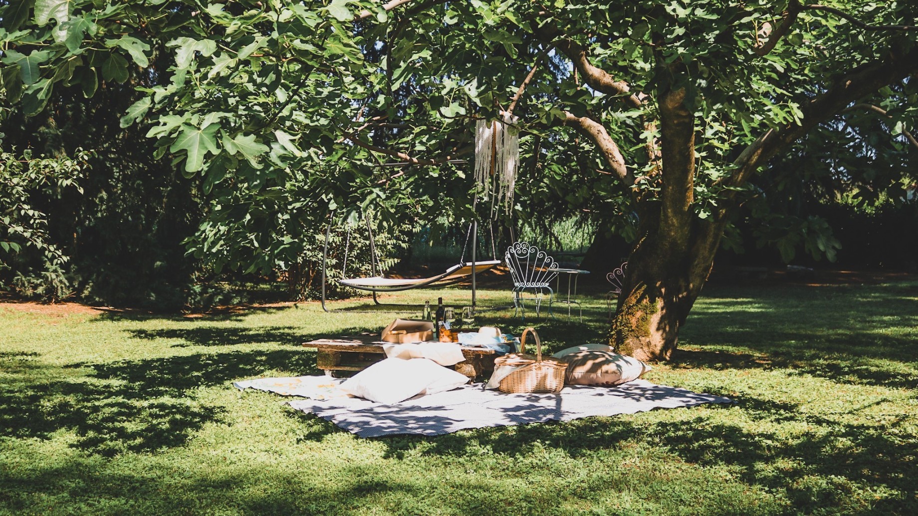 Cestino in Vimini e Telo per Picnic - In affitto • Vivi Bistrot