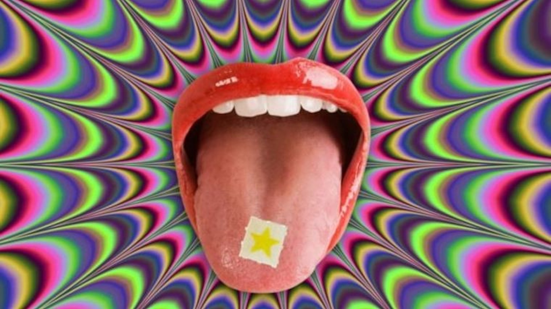 lsd