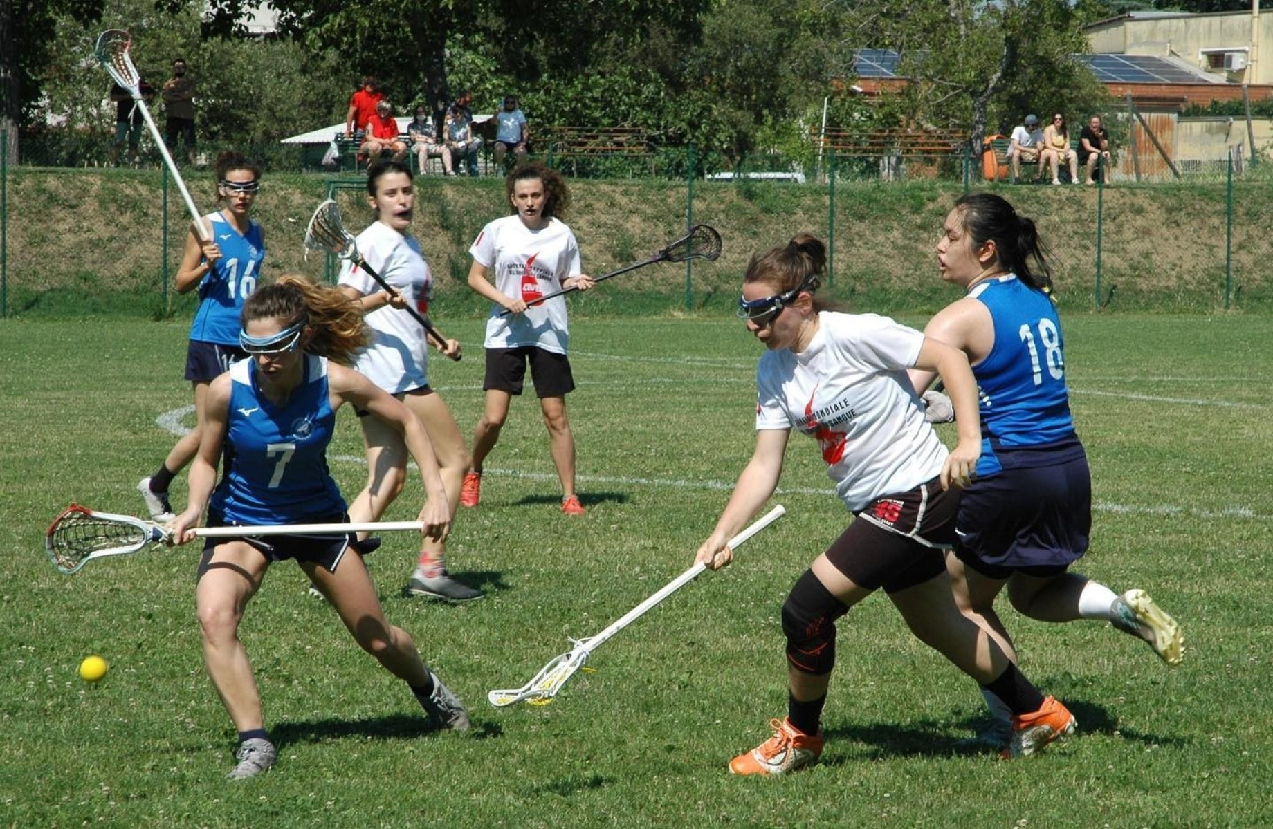 ludovica_lacrosse.jpeg