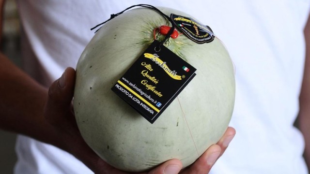 meloni-zerbinati