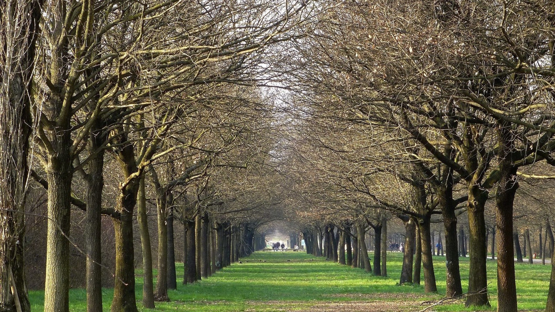 parco_nord_milano