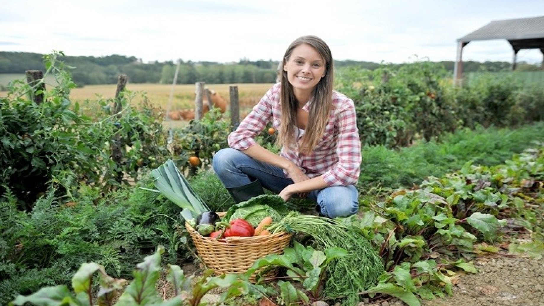 progetto-agricoltura-milano