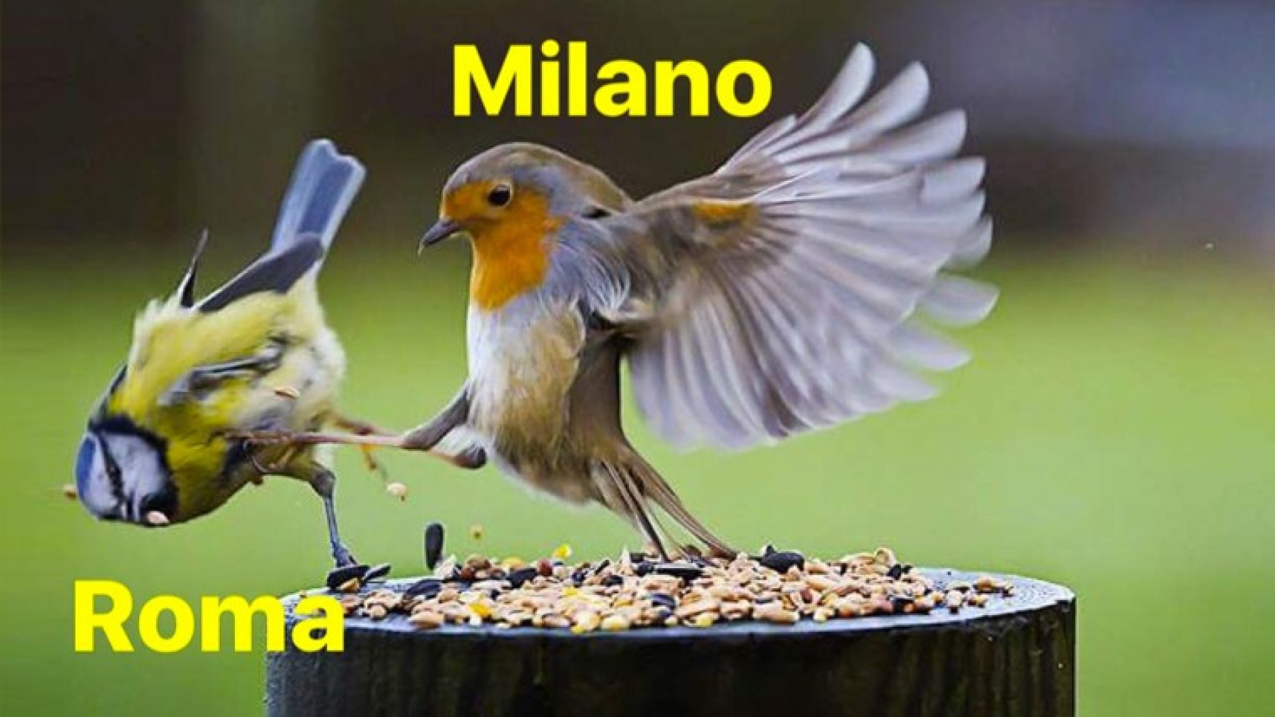 roma-milano-reputazione