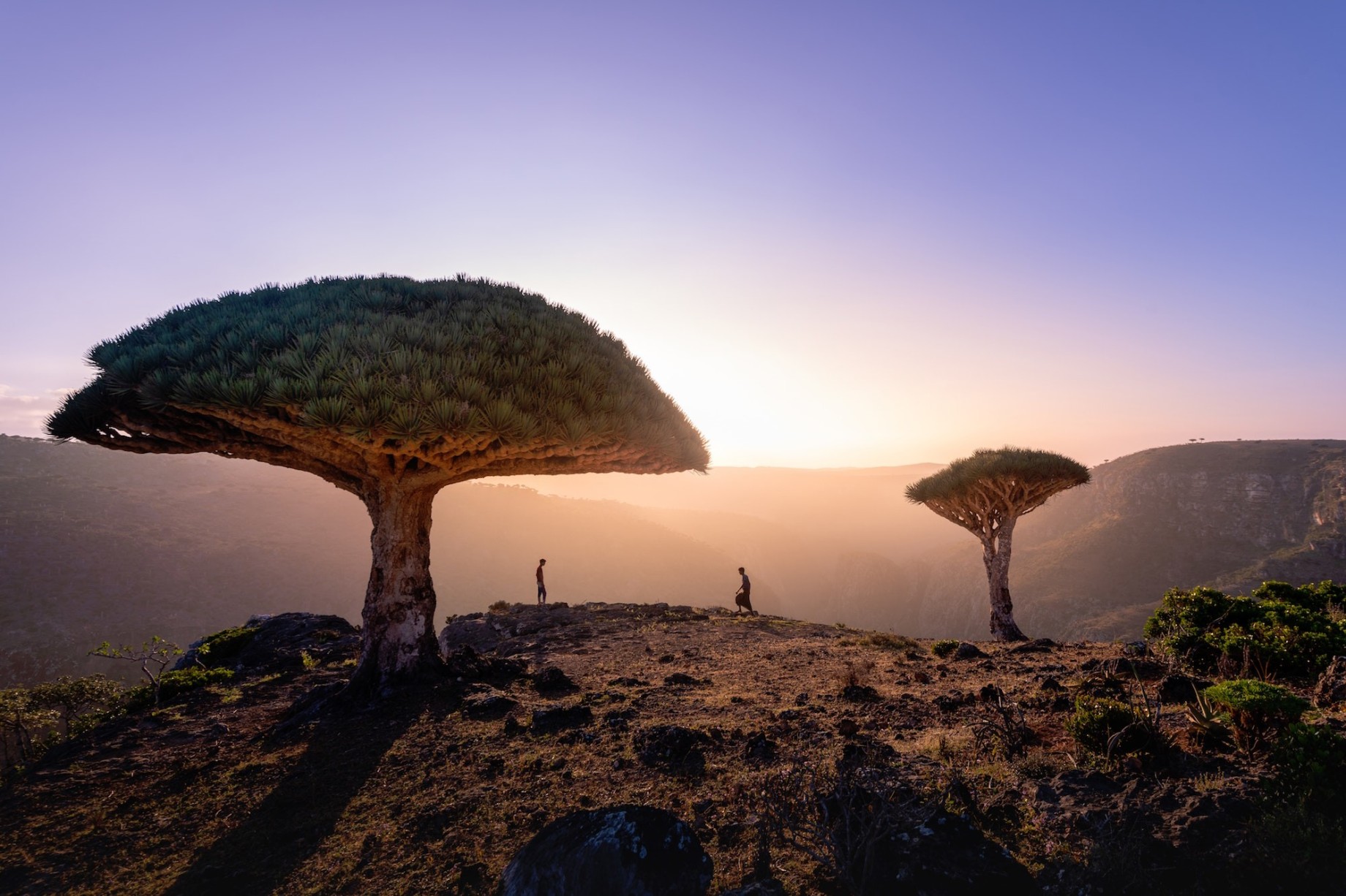 socotra.jpg