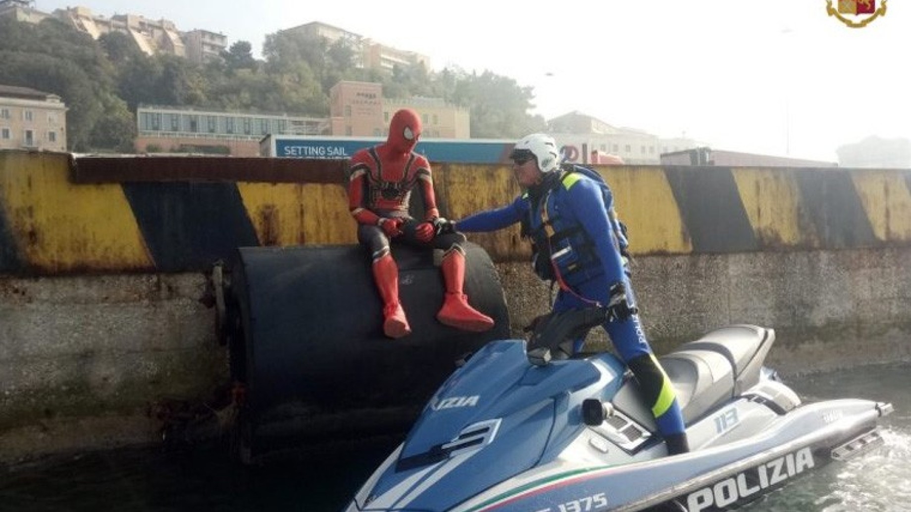 spiderman-ancona