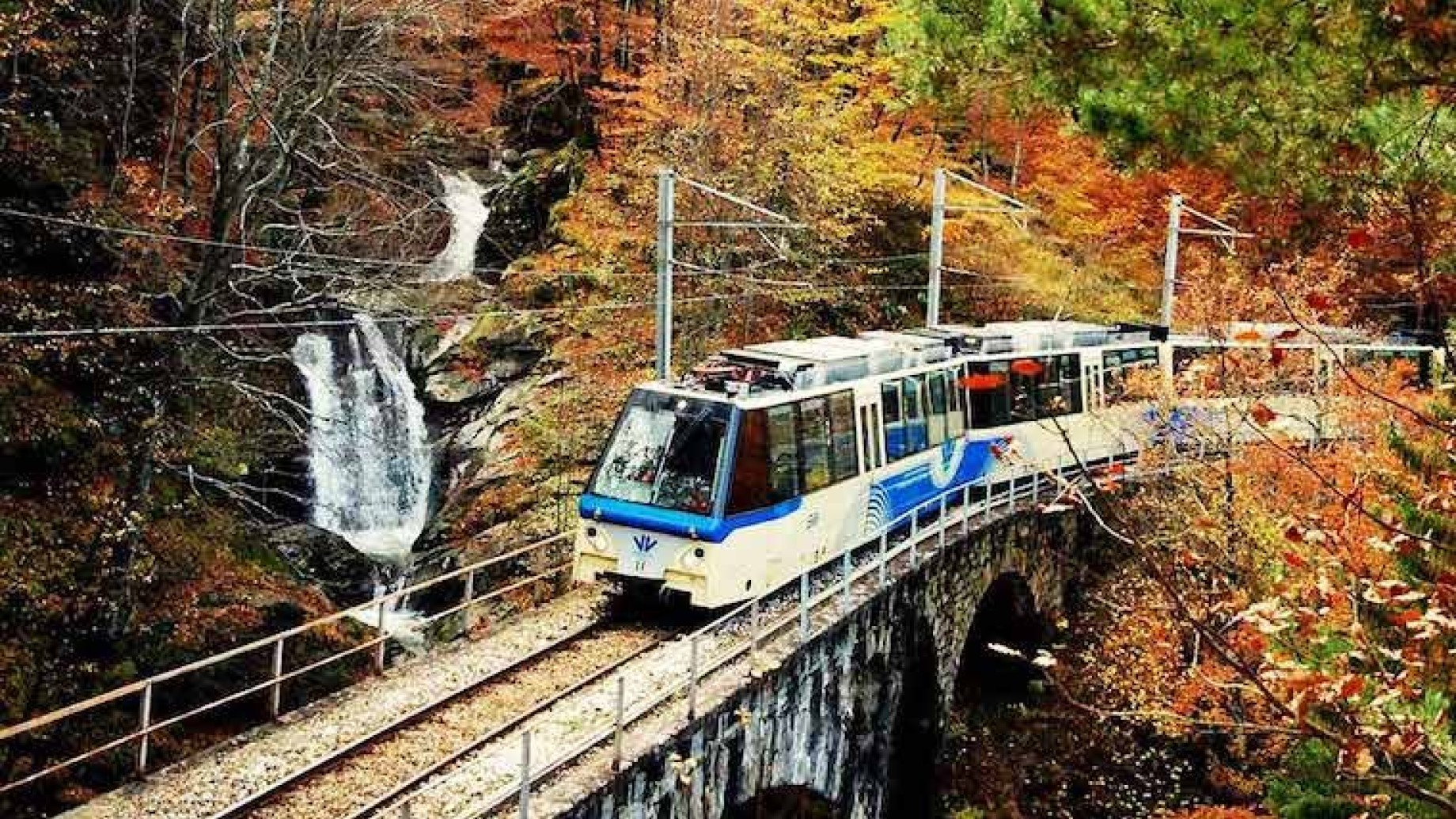 treno-foliage-vigezzina-centovalli